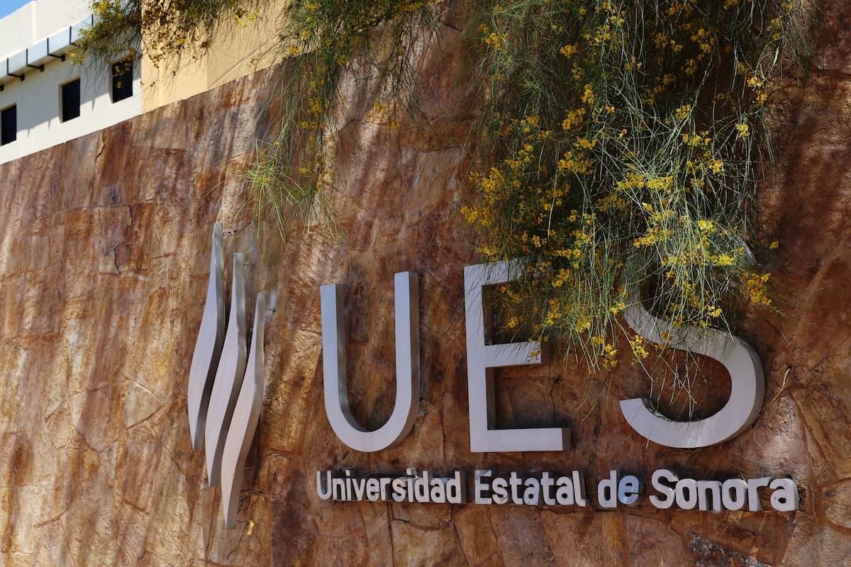 UES cuenta con 1,300 espacios en programas presenciales
