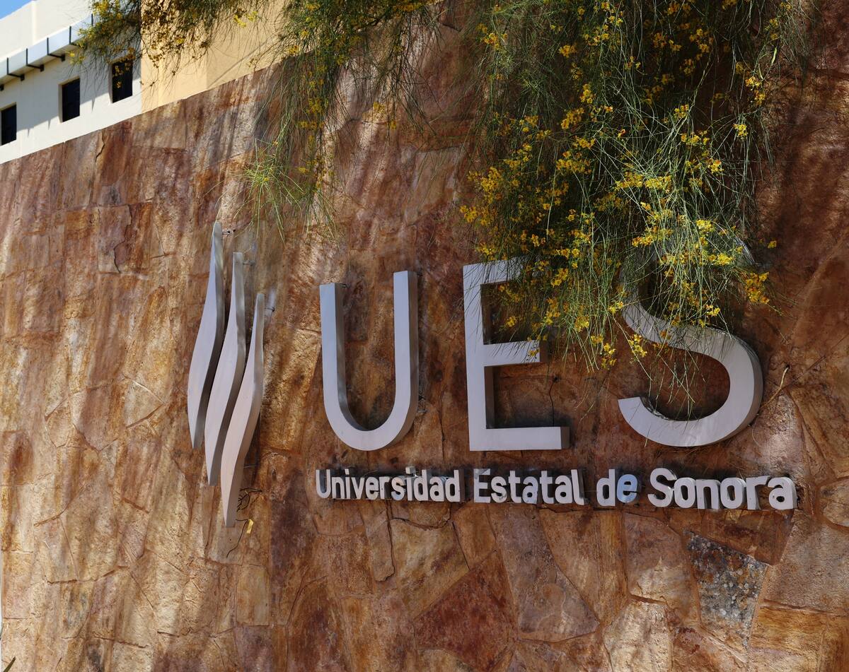 Indicó que todos los pasos pueden consultarse en la página aspirantes.ues.mx, donde se detallan las fechas y procedimientos del proceso. FOTO: GERARDO GONSÁLEZ