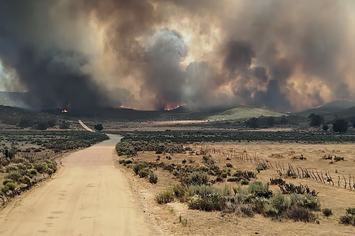 Duplican incendios en Tecate zona consumida