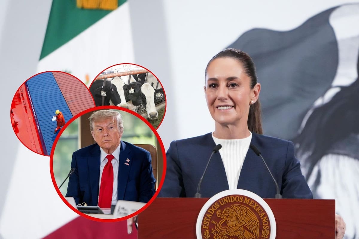 Sheinbaum no habla de aranceles ni reapertura de la frontera al ganado en llamada con Trump