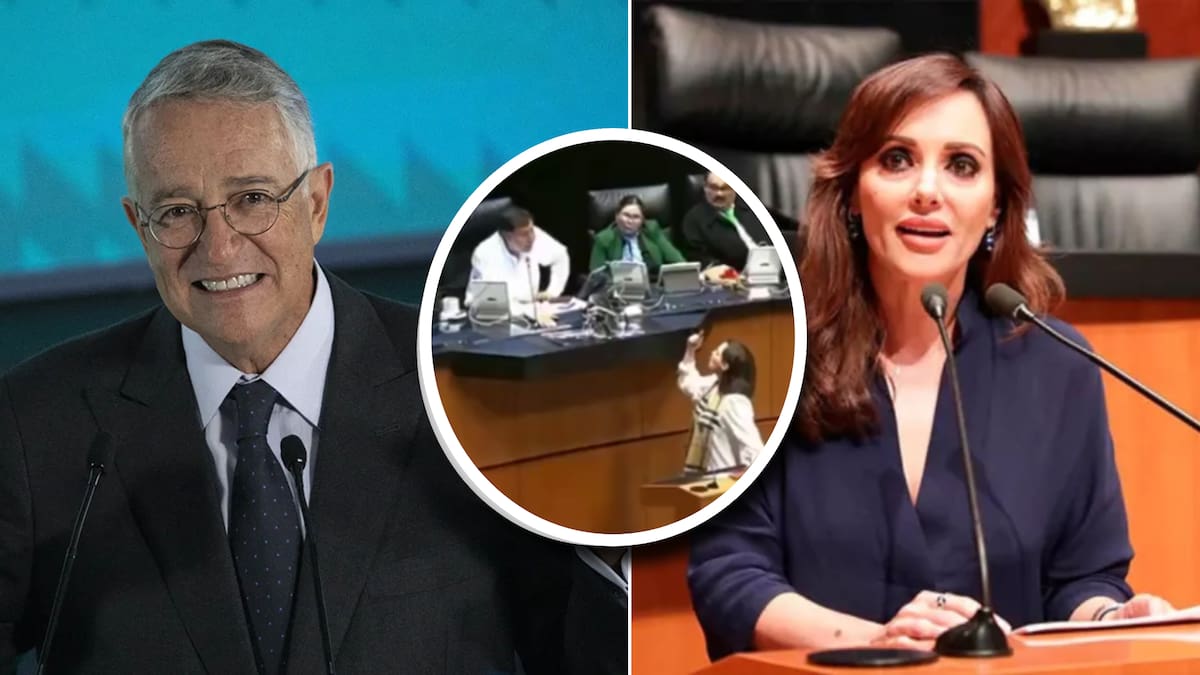 Salinas Pliego elogia la actitud de Lilly Téllez tras callar a Noroña en el Senado. / Foto: Especial