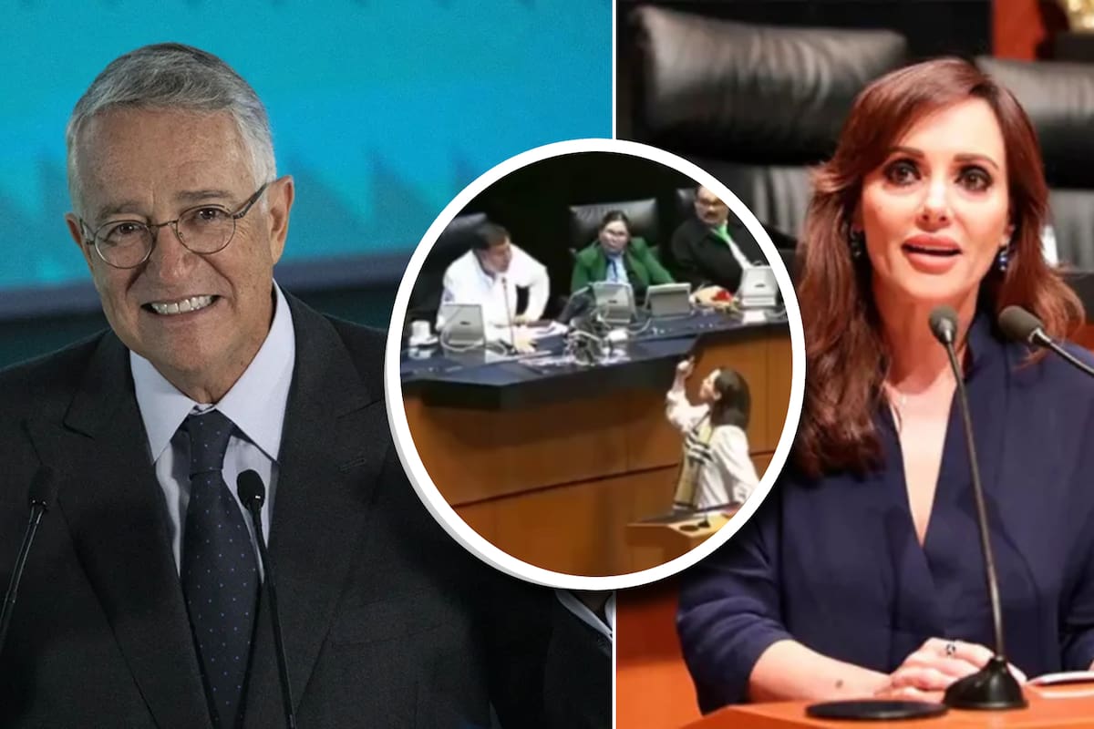 Ricardo Salinas Pliego aplaude a Lilly Téllez por callar a Noroña