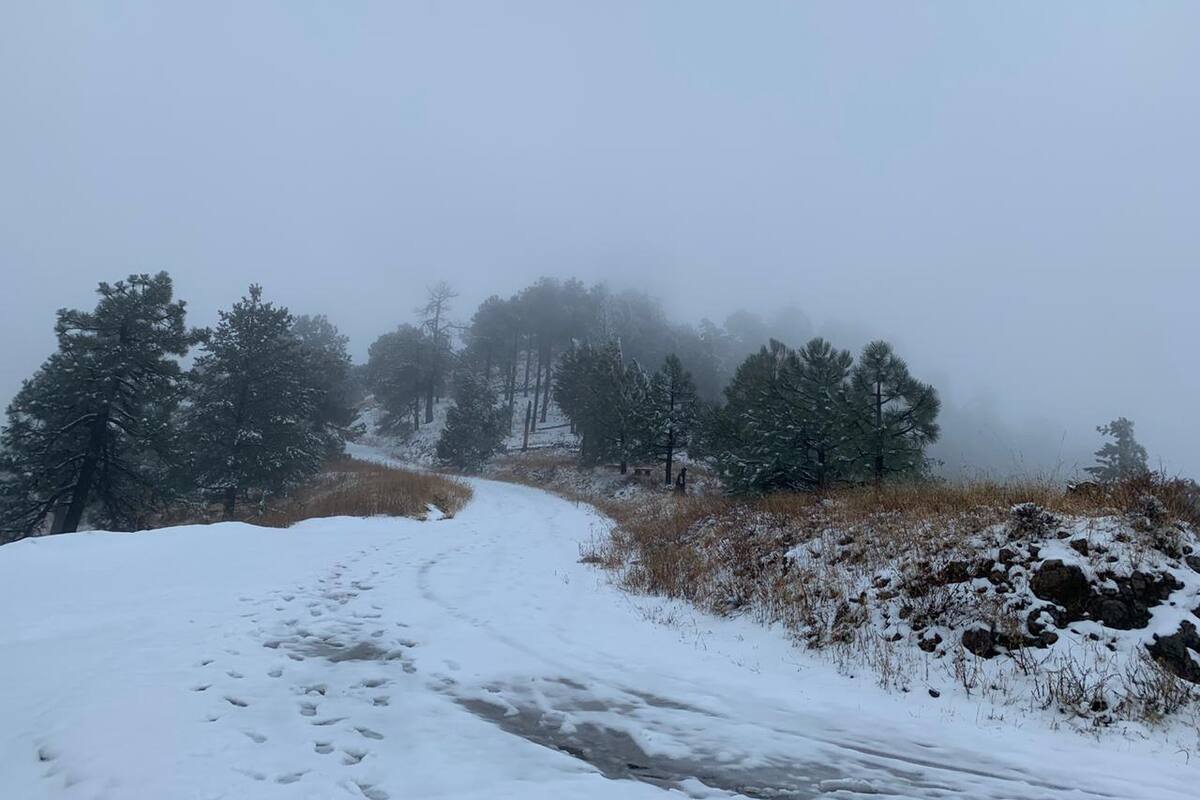 ¡Protéjase! Se esperan lluvias y nevadas en BC, Sonora y Chihuahua