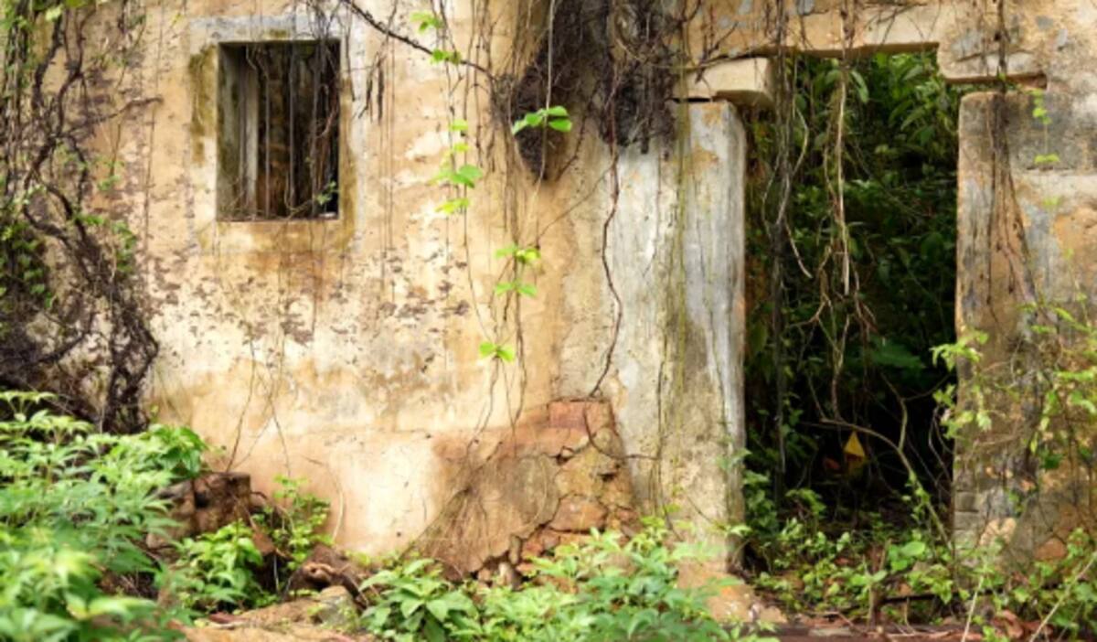 Lai Chi Wo prosperó durante siglos, pero en la década de 1960, con la rápida industrialización de Hong Kong, la agricultura dejó de ser una fuente de ingresos viable. Esto llevó a los residentes a abandonar sus hogares ancestrales, convirtiendo al pueblo en una localidad deshabitada. / CNN.