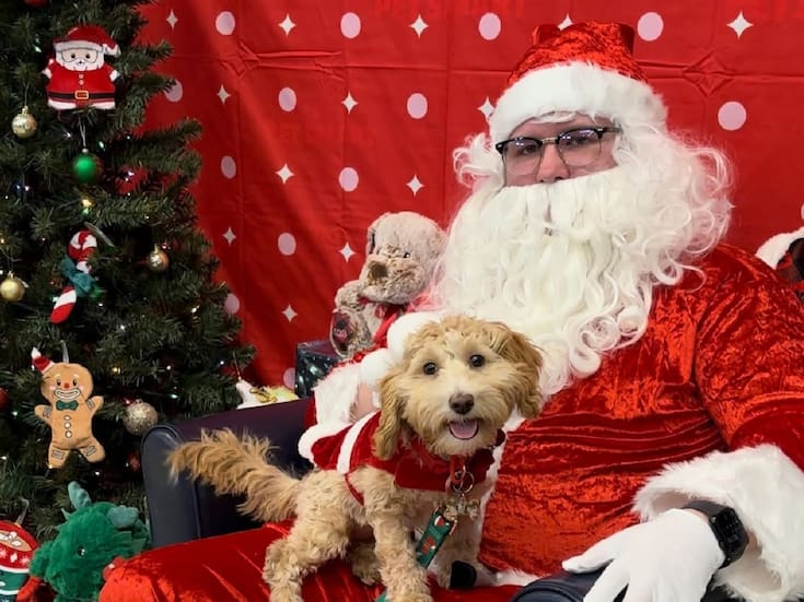 Ofrecen fotos gratis de mascotas con Santa en San Diego