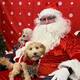 Ofrecen fotos gratis de mascotas con Santa en San Diego