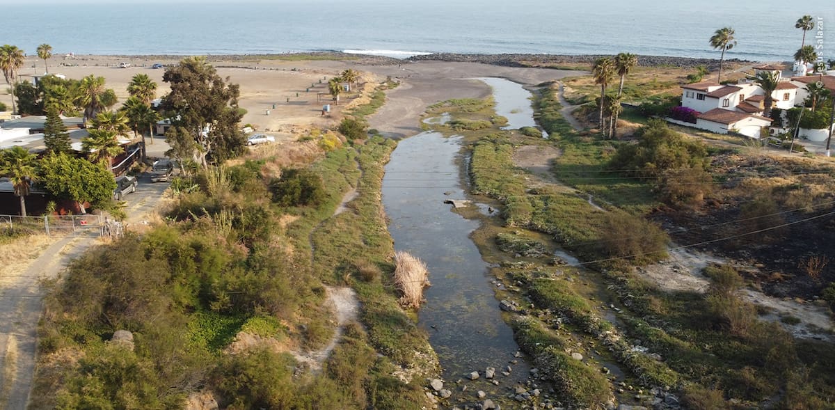 El documento fija las bases para regular actividades dentro de las más de 67 hectáreas que integran ecosistemas riparios y costeros. Foto: Cortesía