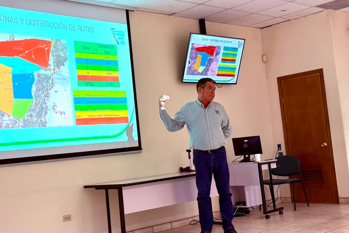 El campo del Valle de Mexicali busca blindar cultivos ante nueva amenaza de plagas