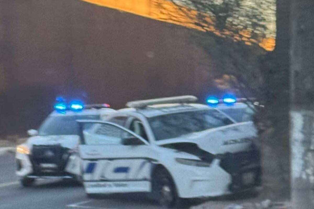 Por fallas mecánicas, patrulla impacta contra palma en la Colón