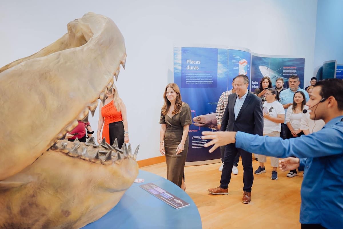 El alcalde Antonio Astiazarán encabezó la inauguración de la muestra internacional en Hermosillo. FOTO: ESPECIAL