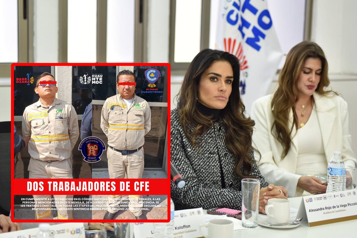 CFE desmiente a Alessandra Rojo de la Vega sobre detención de trabajadores