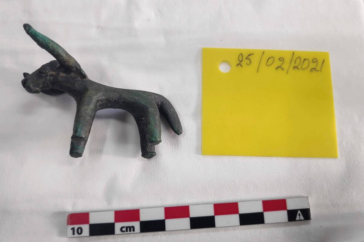 En esta imagen sin fecha proporcionada por el Ministerio de Cultura de Grecia el viernes 19 de marzo de 2021, una antigua estatuilla de un toro de bronce hallada en la antigua Olimpia. Las fuertes lluvias en el sur de Grecia llevaron al descubrimiento de la pieza intacta, que se cree fue una ofrenda votiva al dios Zeus hace unos 3.000 años. (Ministerio de Cultura de Grecia vía AP)