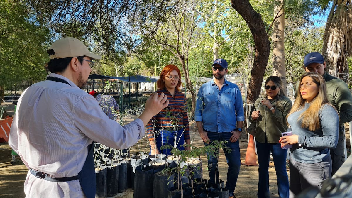 Hoy se enttegaron 500 árboles de mezquite, Palo Verde, Tabachin, etc, en el Vívero Municipal donde acudieron varias personas a recoger las plantas en la colonia Casa Blanca con previo registro.