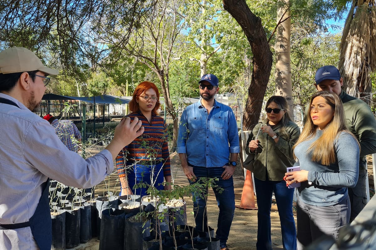 Más de 20 mil árboles nativos han sido donados por el Vivero Municipal de Hermosillo este 2025