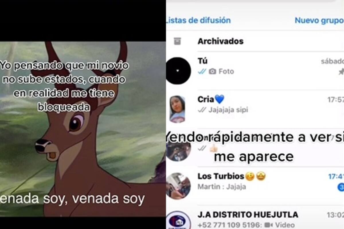 Descubre mentiras de su novio al tenerla bloqueada en sus estados
