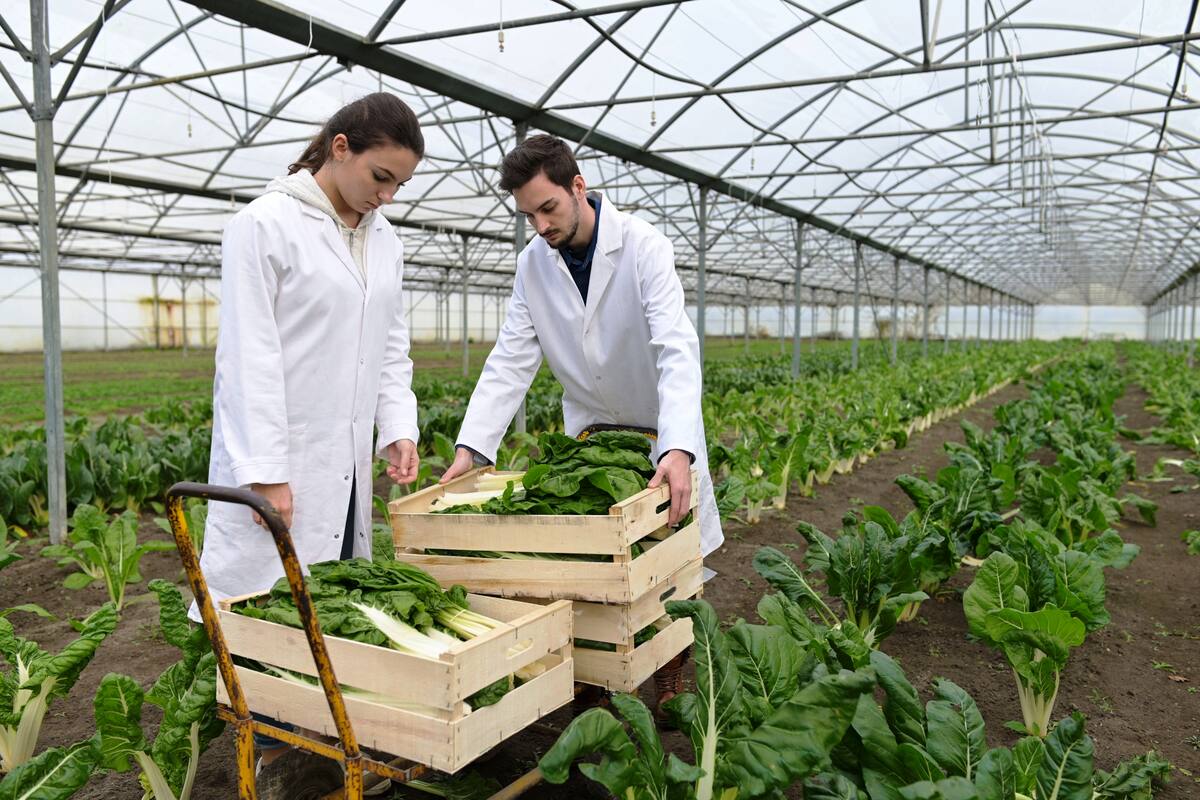Estudiosos de la tierra