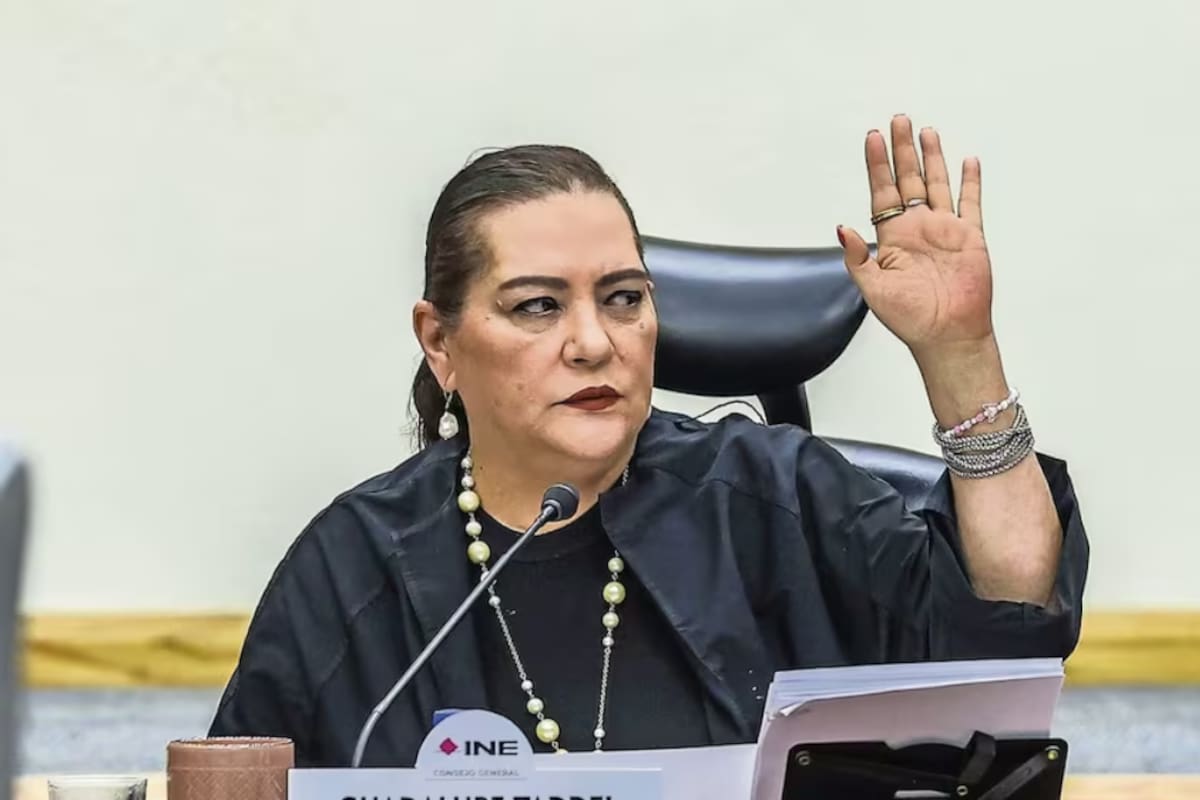 Senadores y diputados de Morena piden que Guadalupe Taddei deje la presidencia del INE y plantean un juicio político por presuntas irregularidades y conflictos de interés, mientras la titular del organismo electoral sostiene que no renunciará