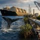 Los proyectos que han encendido las alarmas ambientales en México: del Golfo de California a los humedales de Sinaloa