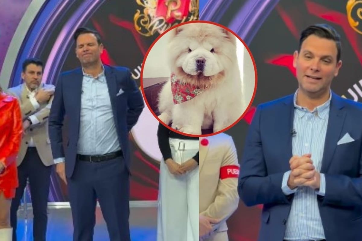 Patricio Borghetti rompe en llanto en “Venga la Alegría” al anunciar la muerte de su perrito