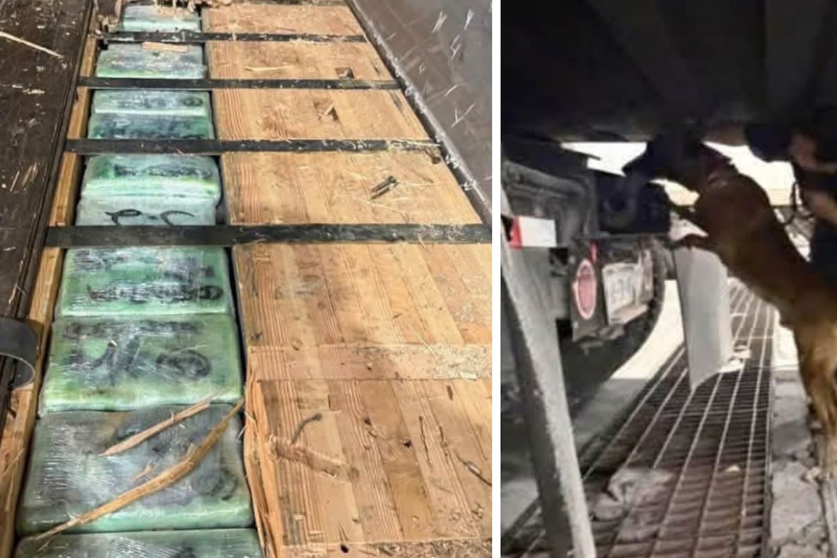 Binomio canino localiza 249 kilos de cocaína y fentanilo en la Garita de Otay