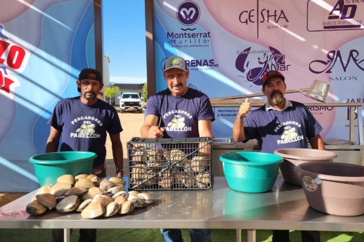 Preparan coctel de media tonelada de almeja en San Quintín