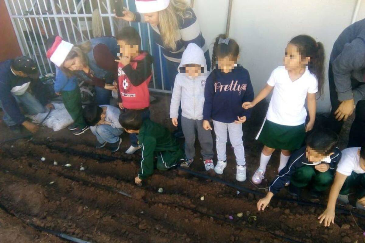 Aprenden niños a sembrar hortalizas