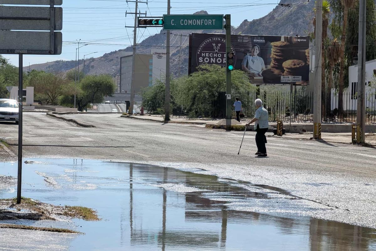 Intensa lluvia deja encharcamientos y árboles caídos en Hermosillo