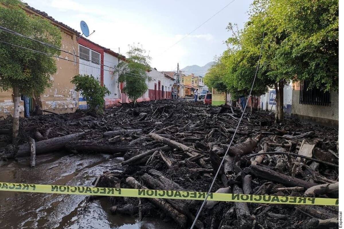 Apunta tragedia en Jalisco a aguacateros