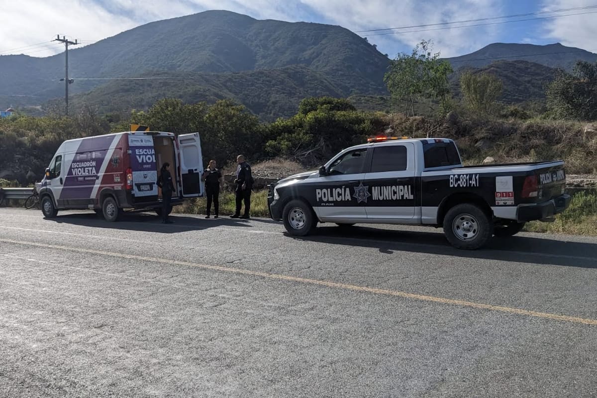Ensenada registra mil 294 denuncias por violencia familiar; Maneadero concentra más casos