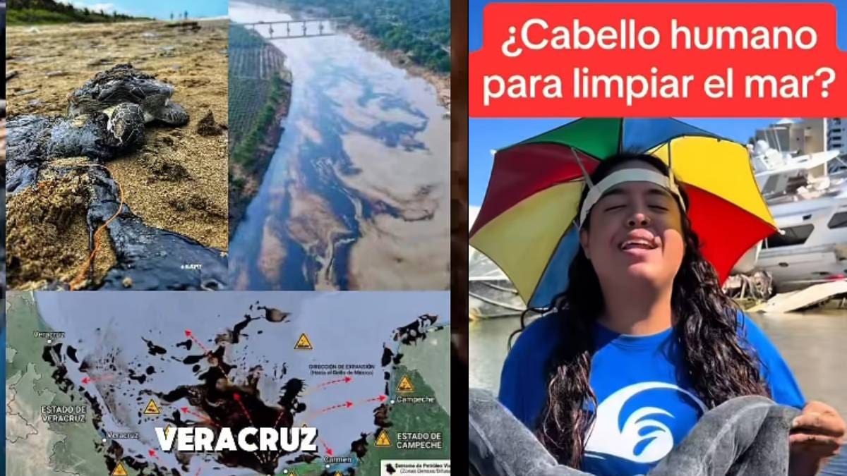 Piden apoyo para recolectar cabello y pelo para limpiar derrame de petróleo en Veracruz: Cómo funciona esta técnica y qué materiales se necesitan para ayudar a proteger el Golfo de México