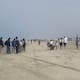 Rosarito se suma a estrategia nacional para limpiar playas y costas
