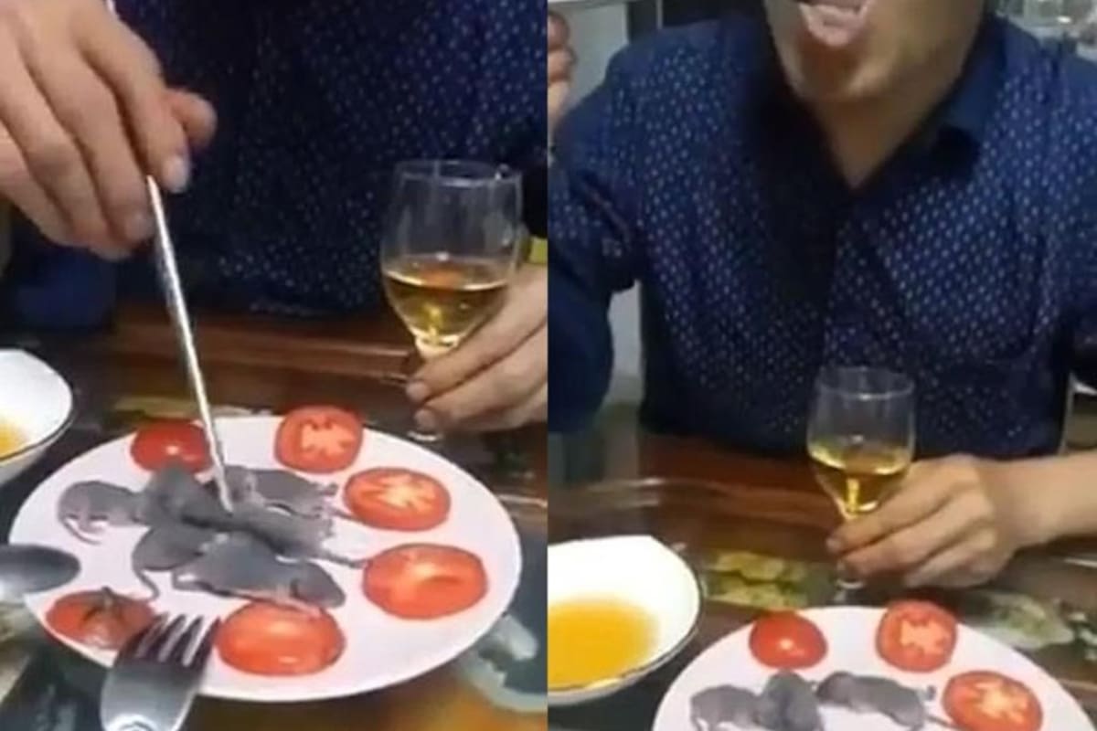 VIDEO: Acompañado de una copa de vino, hombre come ratones vivos en China