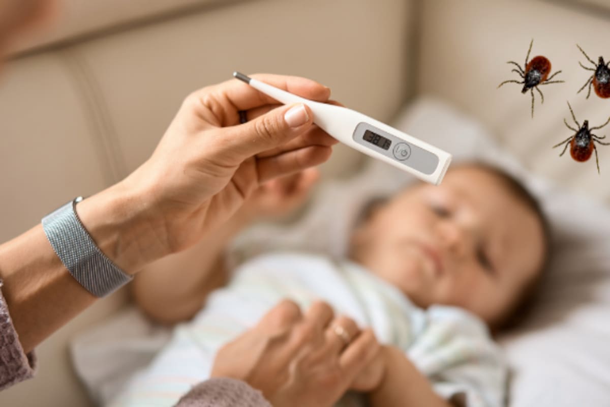 Autoridades confirman tres casos de tularemia en Nueva York y alertan sobre la fiebre del conejo: así se contagia, cuáles son los síntomas y cuándo puede poner en riesgo la vida