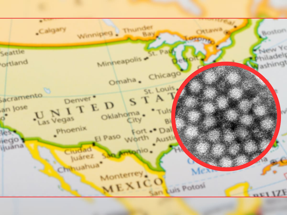 Los CDC advierten que esta métrica puede variar dependiendo del número de pruebas efectuadas, pero sigue siendo una herramienta útil para identificar qué enfermedades están circulando y cuándo. Crédito: Canva/AP