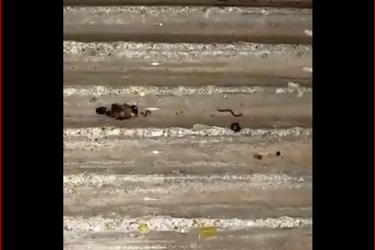 Denuncian que agua de Nacozari no es apta para consumo