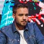 Revelan qué declararon las dos sexoservidoras que estuvieron con Liam Payne antes de su muerte