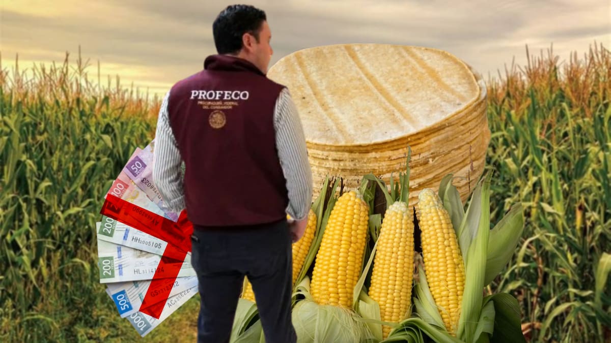 Profeco vigilará el precio de la tortilla ante rumores de aumento ya que Sader negó que el maíz haya subido