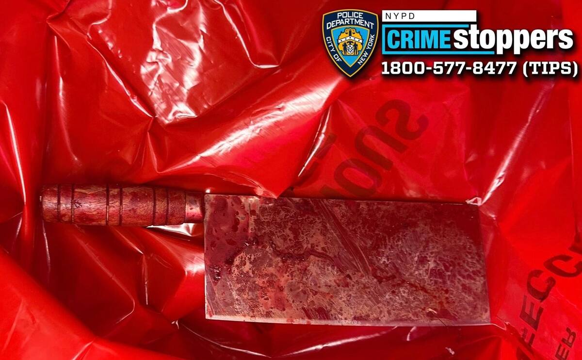 El cuchillo de carnicero utilizado en el ataque contra las menores. Foto: NYPD vía NYP