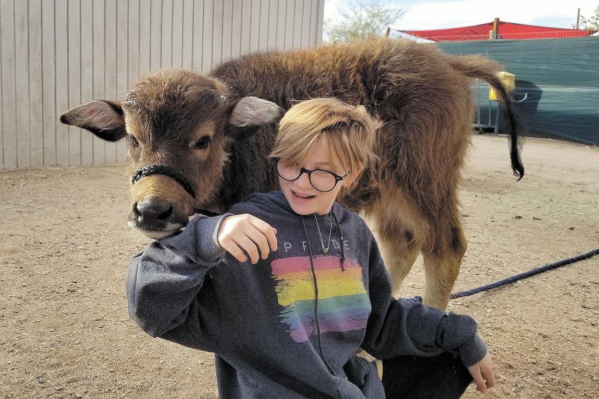 Un zoológico diferente