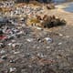 “Gracias por volver a nosotros”: Después de 14 años, entregan a familiares los restos de Natsuse Yamane, niña de seis años desaparecida en el terremoto y tsunami de Japón de 2011