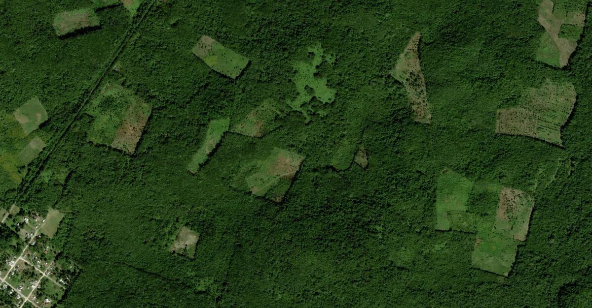 Imagen aérea del sitio arqueológico./Foto: The Guardian.