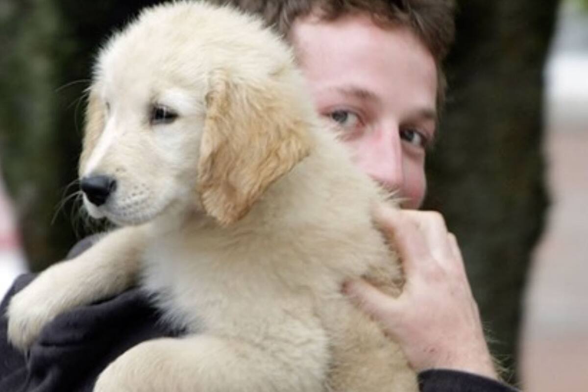 Conviértete en un dueño responsable de mascotas