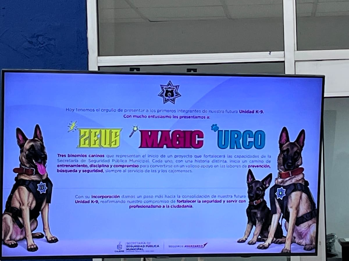 Los perritos Zeus, Urco y Magic comenzaron su entrenamiento para apoyar a la Policía de Cajeme. | Foto: Mayra Echeverría