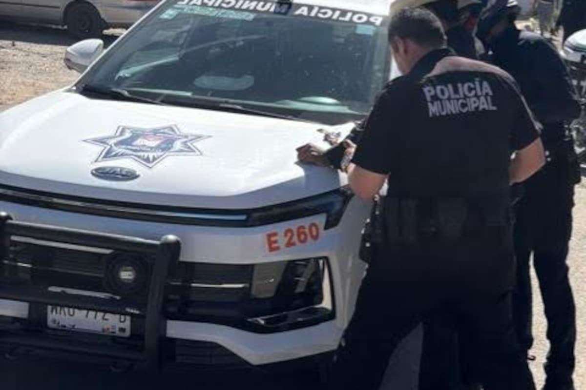 Entre los reportes de emergencia y riñas se elevan agresiones contra policías en Mexicali durante 2026