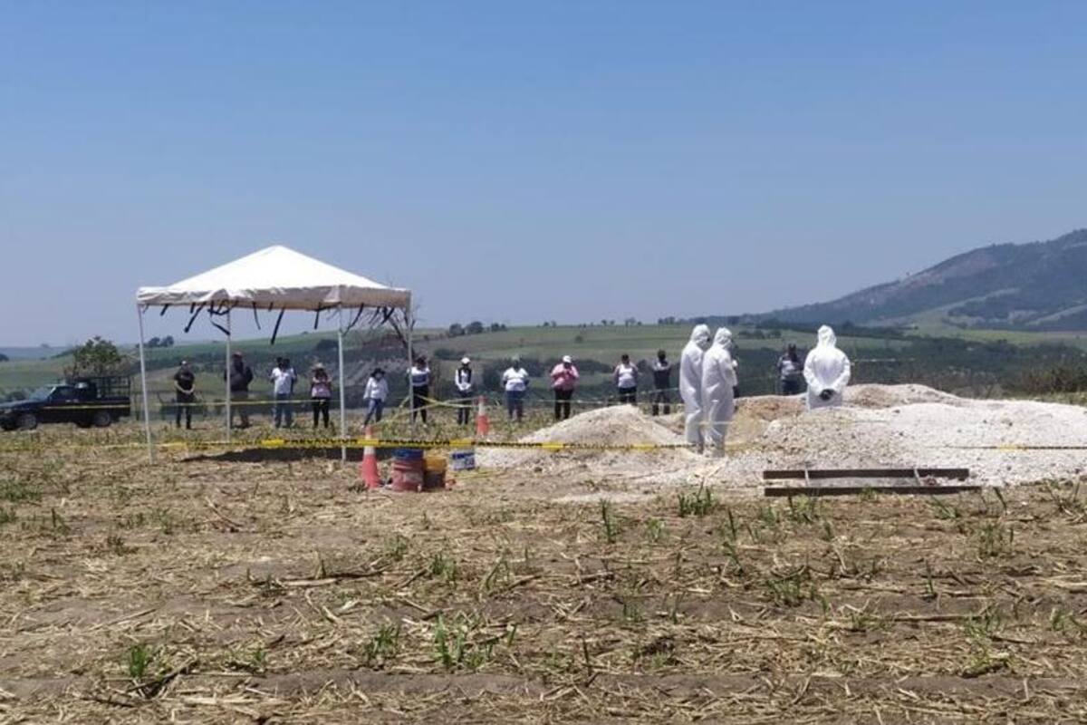 Localizan nueve cuerpos en fosa clandestina en Nayarit