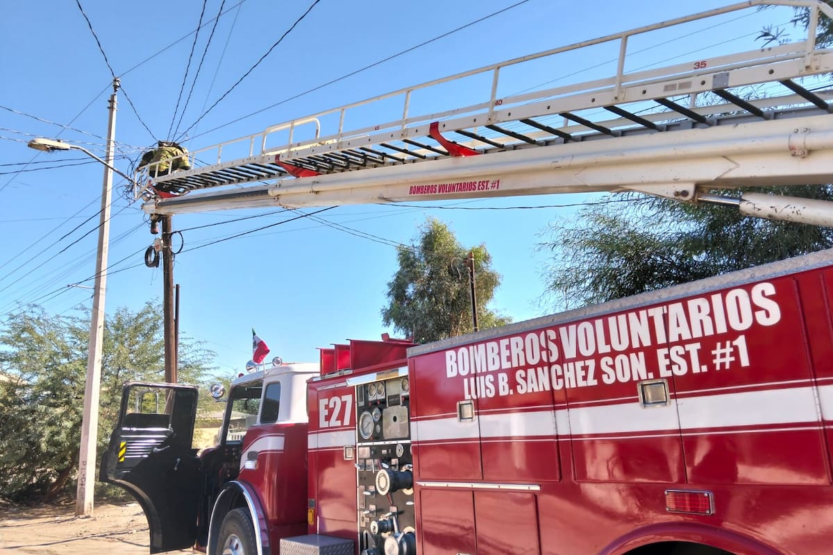 Bomberos rescatan a gatito atrapado en poste de energía eléctrica
