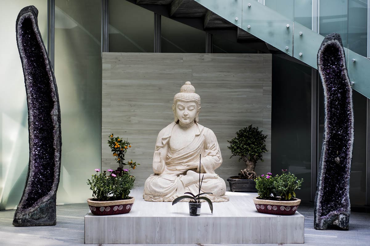 Formar para el futuro: cómo Mandala Academy impulsa la capacitación profesional en México