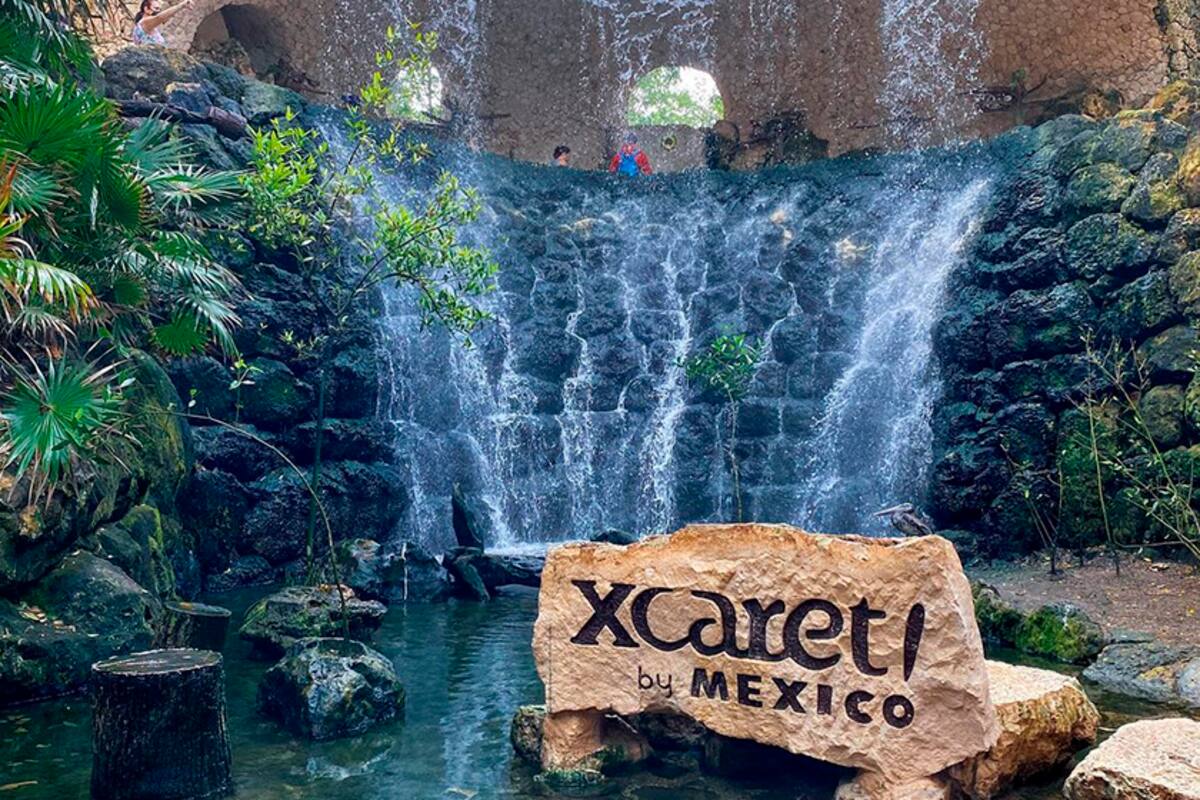 Reportan que Xcaret pagaría multa de 150 mil pesos tras muerte de Leo