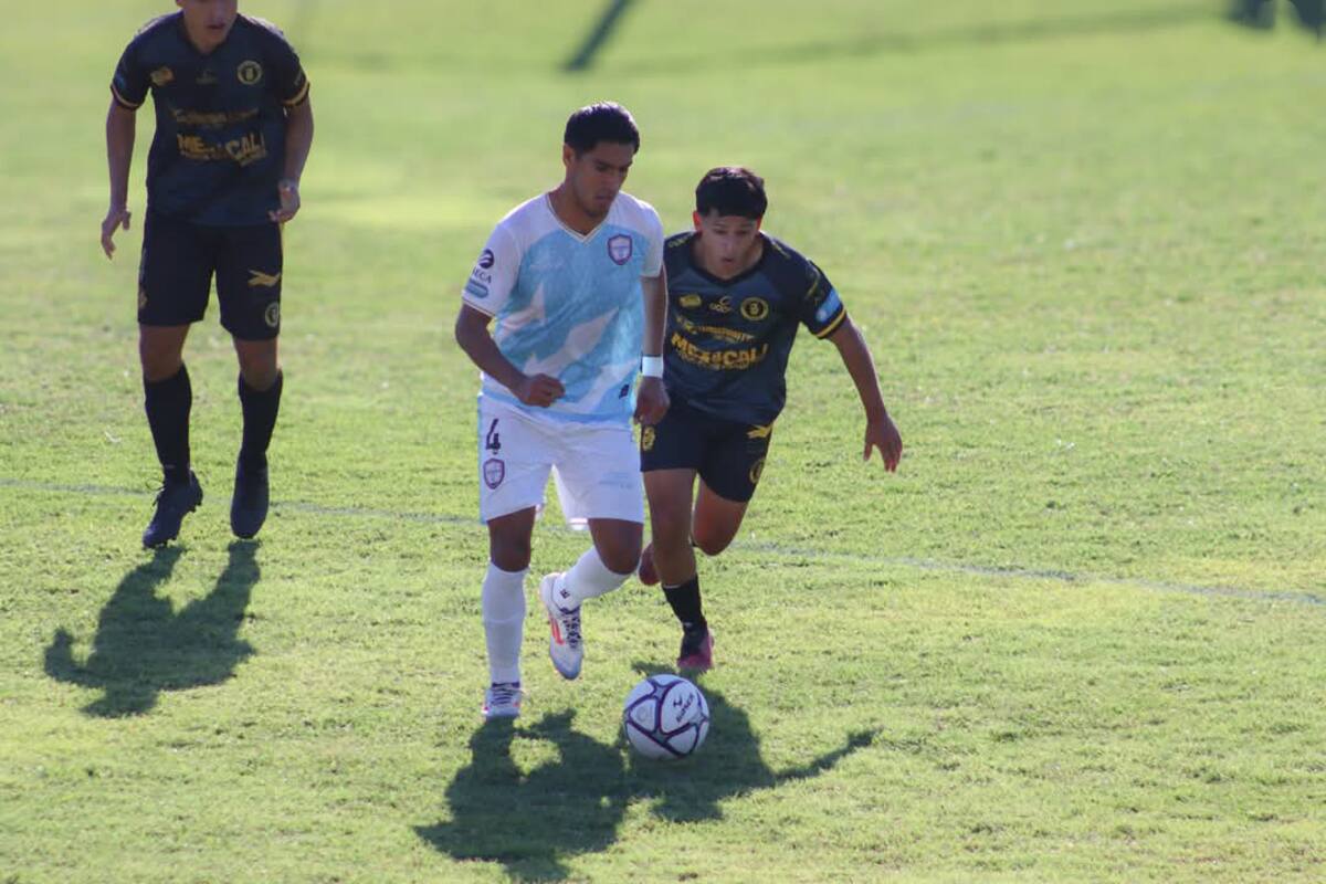 Mexicali FC sigue sin levantar en la Premier MX
