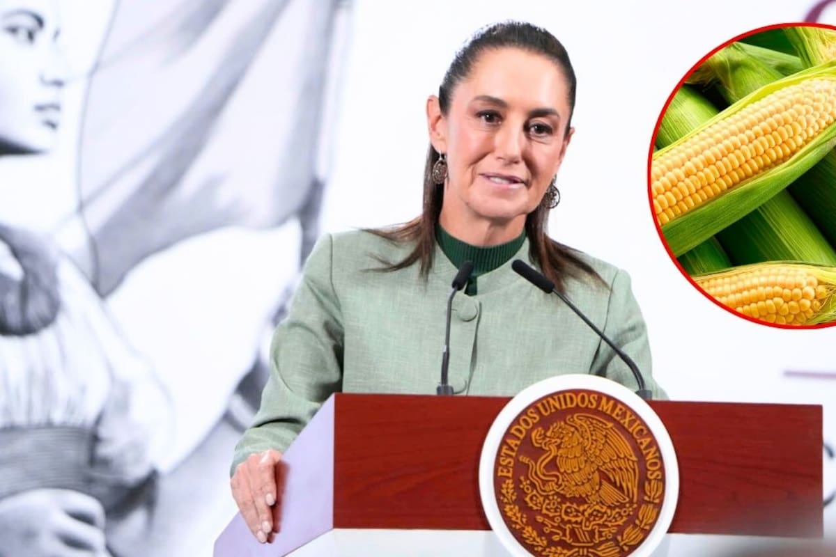 Sheinbaum dice que el diálogo con productores de maíz sigue abierto y asegura que existe una propuesta por parte del Gobierno